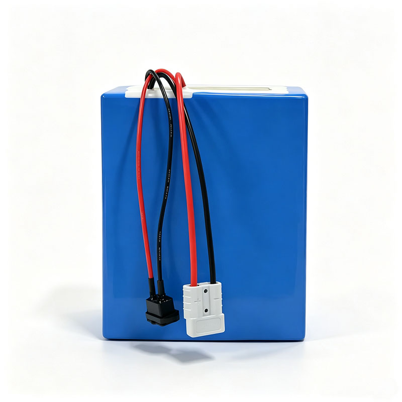 リチウム LiFePO4 72V 50Ah 60Ah 40A - 72V 30Ah Lifepo4 Battery Pack のレビューと価格